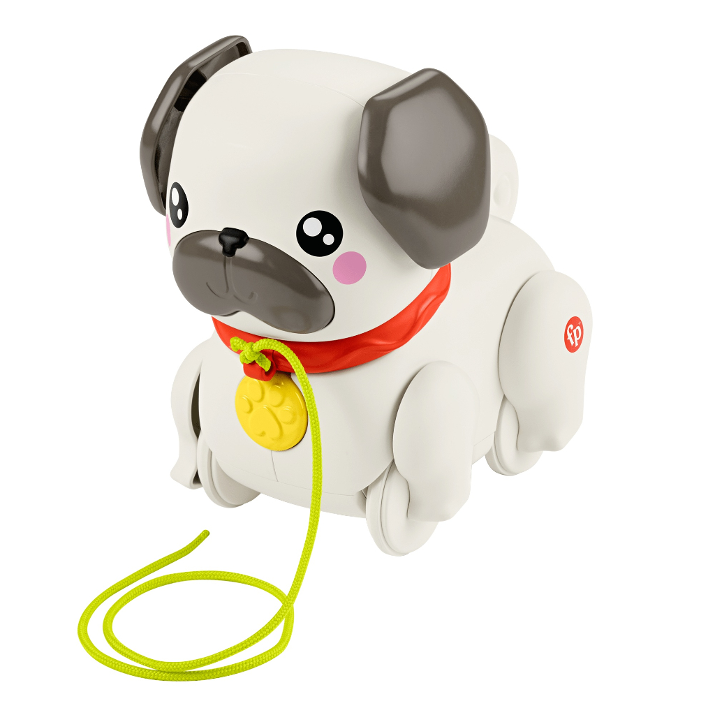 FP WALK THE PUP PUG HTW94